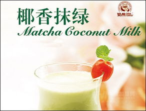 奶熊飲品站——優質產品與加盟支持解析